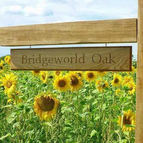 Bridgeworld Oak photo